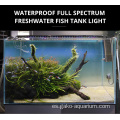 Luz de acuario LED LED de WRGB para plantas